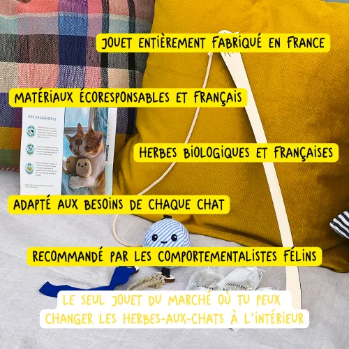 Le pack canne à chat Poulpo