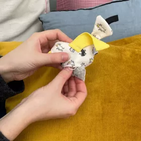 Fri-vol, l'oiseau pour chats 2