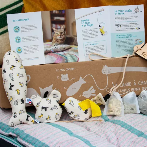 Pack canne à chat 3 Fripons