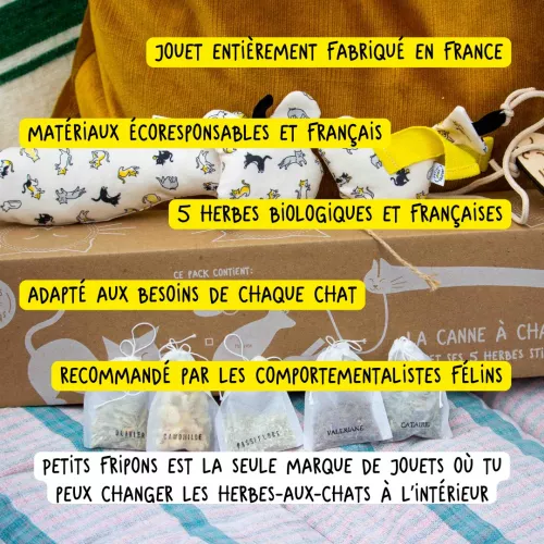 Pack canne à chat 3 Fripons