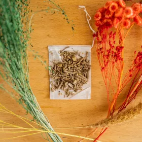 La valériane, l’herbe des chats zen