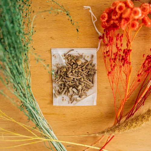 La valériane, l’herbe des chats zen