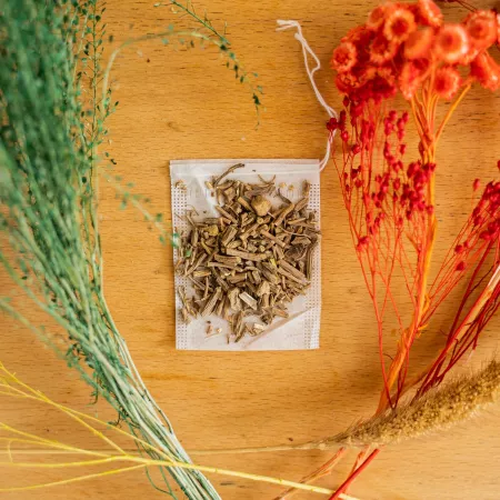 La valériane, l’herbe des chats zen