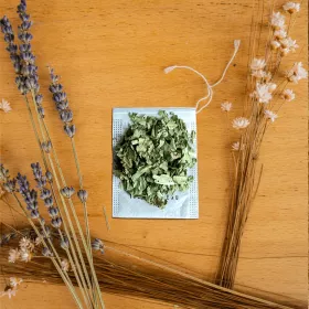 Trèfle d'eau - Petits Fripons