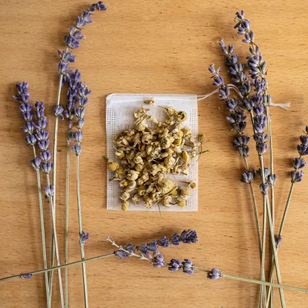 Camomille - Petits Fripons