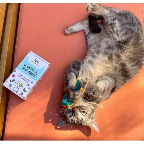 Le coffret du chat perché