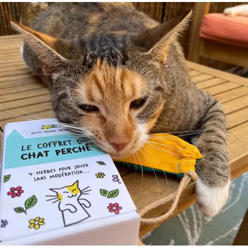 Le coffret du chat perché