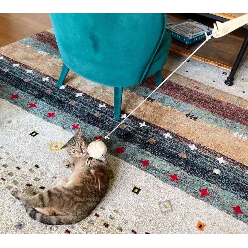 Le pack canne à chat Poulpo