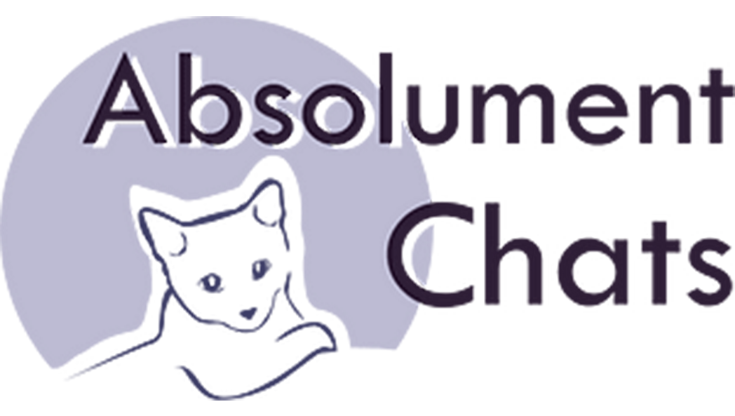 Absolument Chat