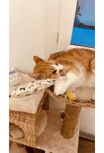 Photo from customer for Le pack des 3 Fripons