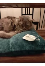 Photo from customer for Le coffret du chat perché