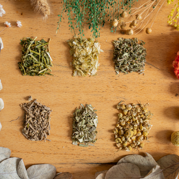 L'importance des herbes aux chats 🌿