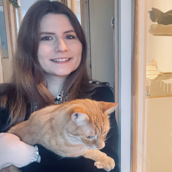 Bienveillance et bien-traitance, découvrez l'univers de la pension pour chats Boule de poils & Compagnie