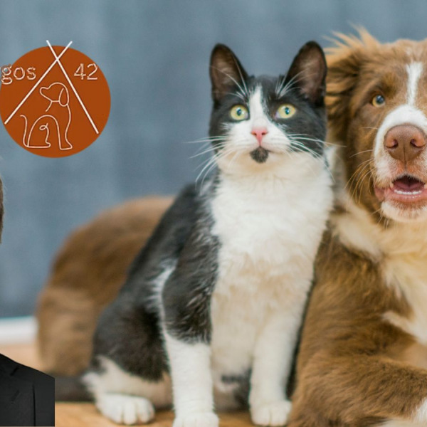 Portrait de Baptiste, fondateur de l'association Argos 42 :  mission et actions concrètes pour la protection des chats