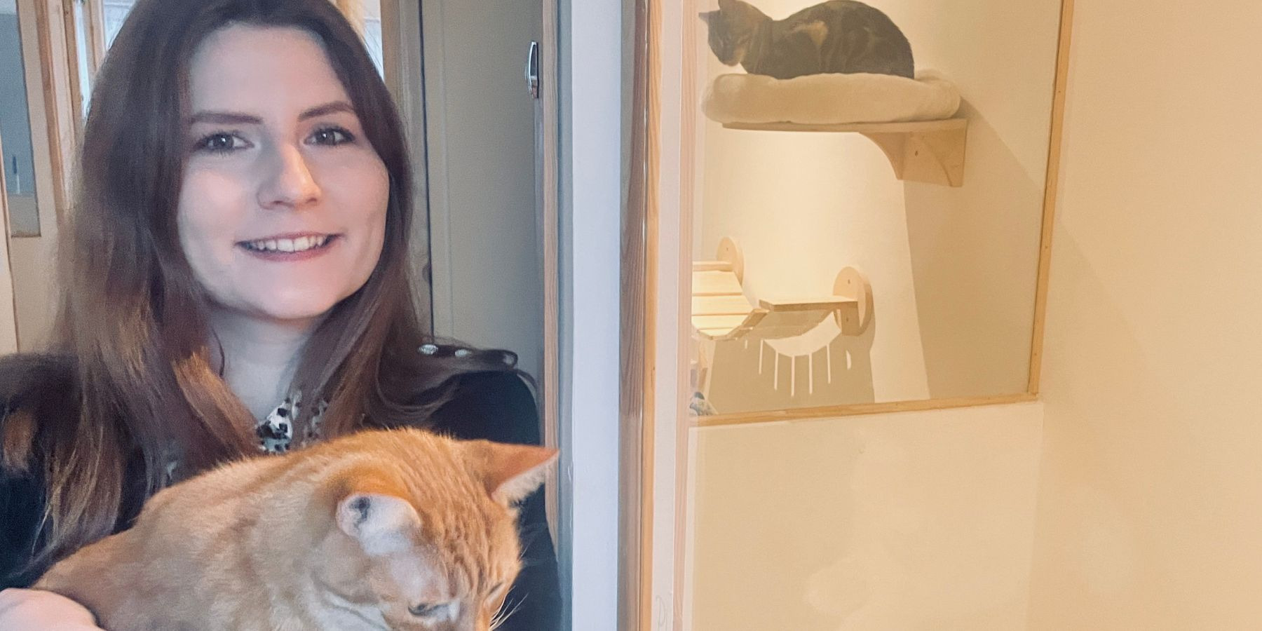 Bienveillance et bien-traitance, découvrez l'univers de la pension pour chats Boule de poils & Compagnie